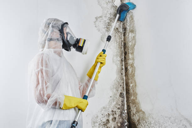 Water Damage Restoration in Fayetteville, NY