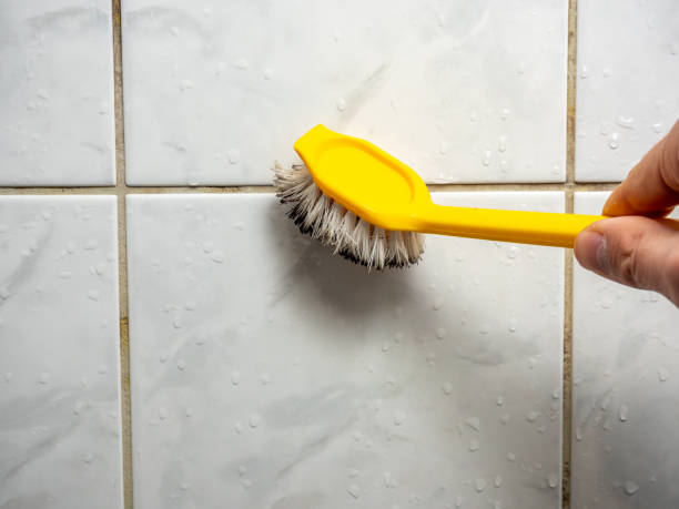 Best Affordable Mold Removal  in Fayetteville, NY