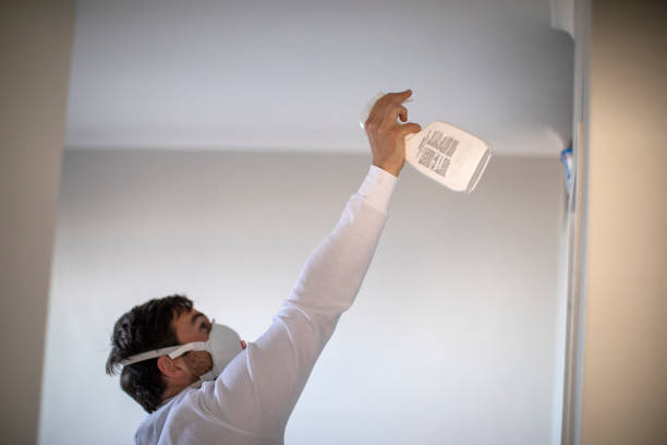 Best Office Mold Removal Services  in Fayetteville, NY